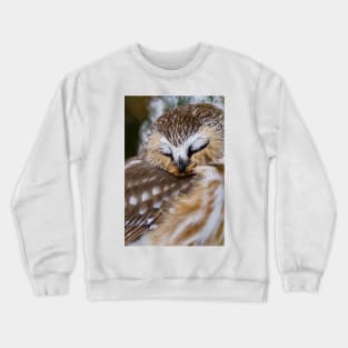 Northern Saw Whet Owl - Ottawa, Canada Crewneck Sweatshirt